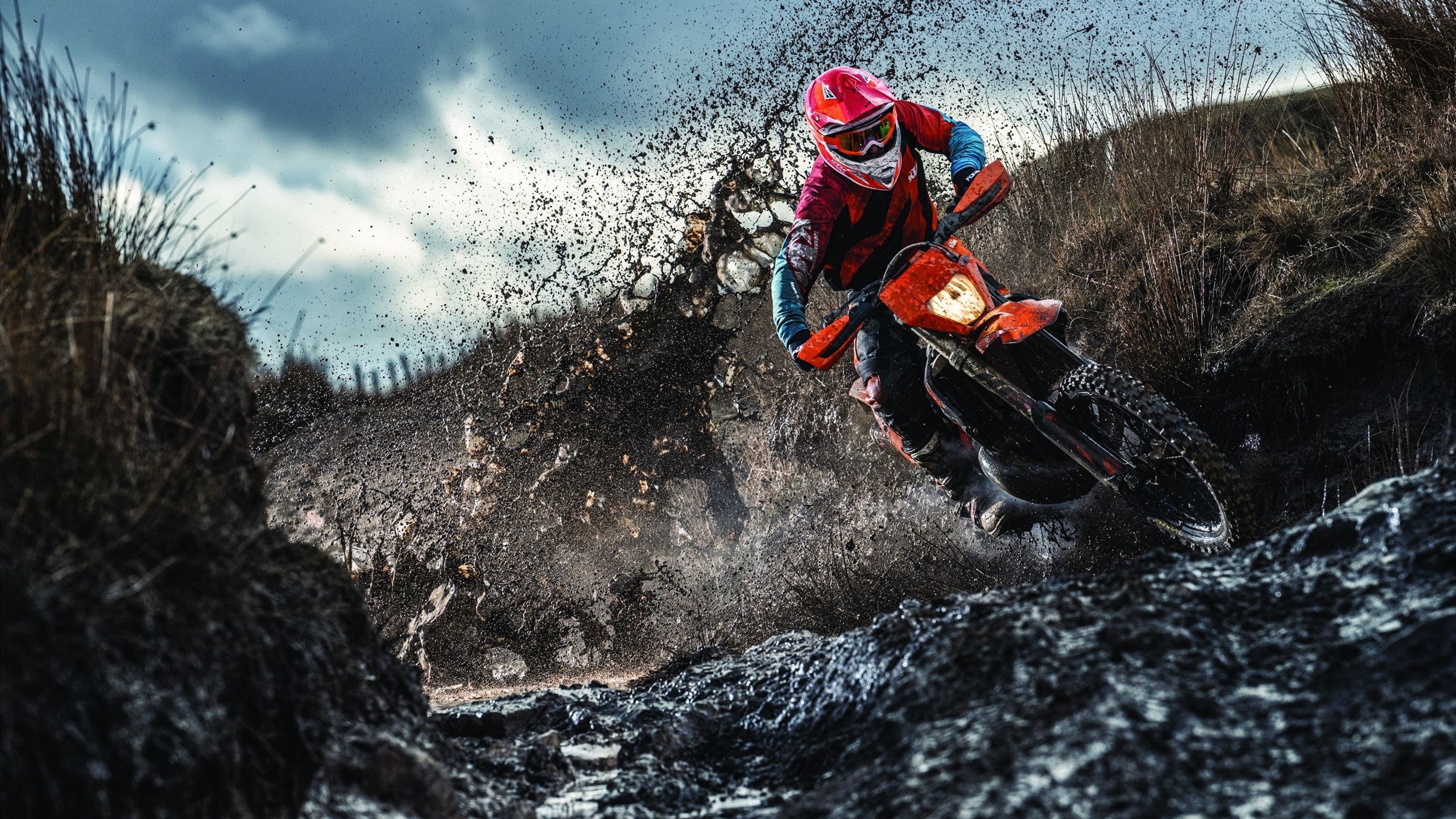 开云体育APP下载-欧冠淘汰赛之夜，佩德里连续得分拉开差距，诺坎普见证新王加冕